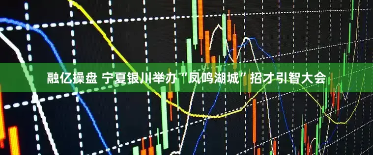 融亿操盘 宁夏银川举办“凤鸣湖城”招才引智大会