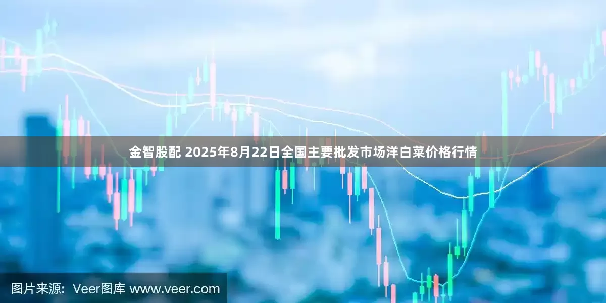 金智股配 2025年8月22日全国主要批发市场洋白菜价格行情