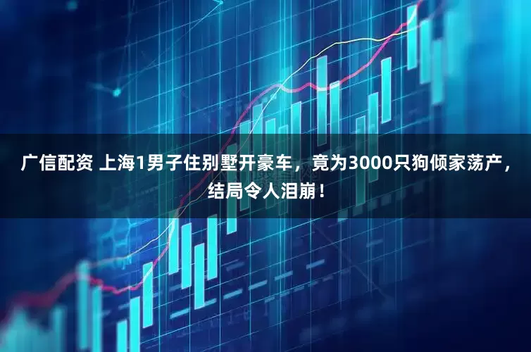 广信配资 上海1男子住别墅开豪车，竟为3000只狗倾家荡产，结局令人泪崩！